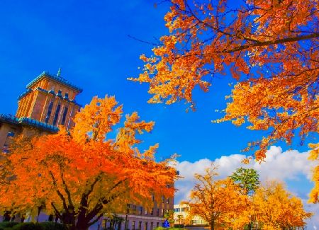 未経験、ブランクがあっても　　無理なく働ける♪ ◎日勤帯・　土日休み・月8～10休み◎